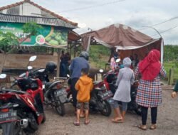 Wisata Petik Kebun Jambu Kebaron Kecamatan Tulangan Kabupaten Sidoarjo Banyak Diminati Masyarakat