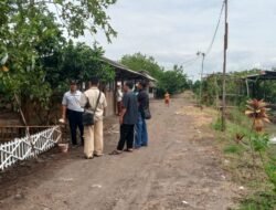 Wisata Petik Kebun Jambu Kebaron Kecamatan Tulangan Kabupaten Sidoarjo Banyak Diminati Masyarakat