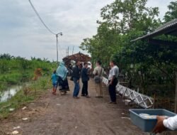 Wisata Petik Kebun Jambu Kebaron Kecamatan Tulangan Kabupaten Sidoarjo Banyak Diminati Masyarakat