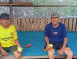 Wisata Petik Kebun Jambu Kebaron Kecamatan Tulangan Kabupaten Sidoarjo Banyak Diminati Masyarakat