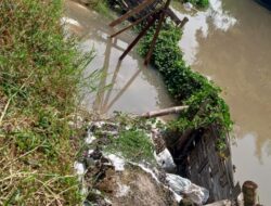 Plengsengan Sungai Kedung Uling Desa Kemantren Kecamatan Tulangan Ambles Dan Butuh Pemerhati Dari Pemerintah 