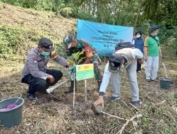 Tanam Pohon Sukseskan Presidensi G20, Koramil Kemlagi Bersama Perhutani Jaga Lingkungan