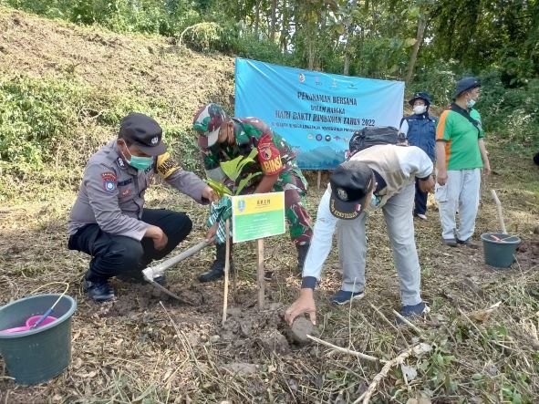 Tanam Pohon Sukseskan Presidensi G20, Koramil Kemlagi Bersama Perhutani Jaga Lingkungan
