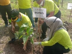 Galakkan Tanam Bersama, Perhutani Mojokerto dan Bupati Ikfina Bersinergi