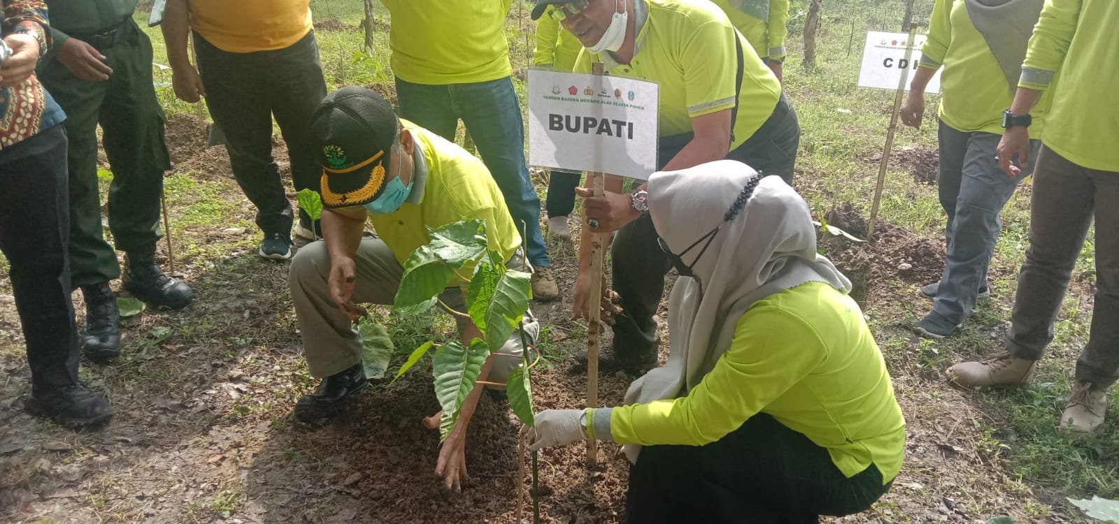 Galakkan Tanam Bersama, Perhutani Mojokerto dan Bupati Ikfina Bersinergi