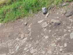 Lambatnya Dinas Pekerjaan Umum Dalam Menangani masalah Jalan Di Dusun Unengan Dan Dusun Menunggal Kecamatan Pungging Kabupaten Mojokerto