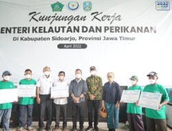 Menteri KKP Bersama Bupati Sidoarjo Panen Rumput Laut Sekaligus Canangkan Desa Kupang Jabon Jadi Kampung Budidaya Rumput Laut