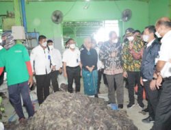 Menteri KKP Bersama Bupati Sidoarjo Panen Rumput Laut Sekaligus Canangkan Desa Kupang Jabon Jadi Kampung Budidaya Rumput Laut