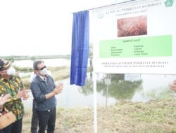 Menteri KKP Bersama Bupati Sidoarjo Panen Rumput Laut Sekaligus Canangkan Desa Kupang Jabon Jadi Kampung Budidaya Rumput Laut