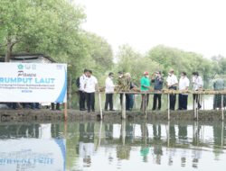 Menteri KKP Bersama Bupati Sidoarjo Panen Rumput Laut Sekaligus Canangkan Desa Kupang Jabon Jadi Kampung Budidaya Rumput Laut