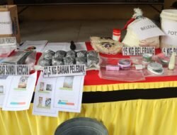 Polresta Sidoarjo Amankan 27,5 Kilogram Bahan Peledak Mercon Siap Dipasarkan