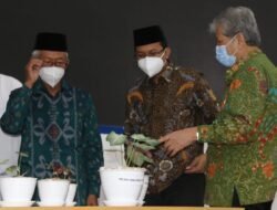 Dukung Pemulihan Ekonomi, Gus Muhdlor Apresiasi Unit Bisnis Umsida Yang Tembus Pasar Ekspor Kirim Bibit 3 Ribu Tanaman Hias Ke Amerika