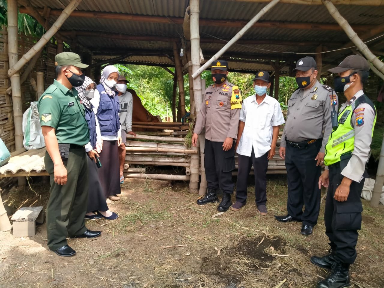 Babinsa Pugeran Koramil Gondang Bersama Polsek & UPT Distan Gondang Tanggap PMK