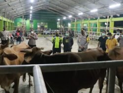 ANTISIPASI WABAH PENYAKIT MULUT DAN KUKU , KAPOLRESTA SIDOARJO CEK RUMAH PEMOTONGAN HEWAN DI KEC.KRIAN