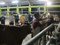 ANTISIPASI WABAH PENYAKIT MULUT DAN KUKU , KAPOLRESTA SIDOARJO CEK RUMAH PEMOTONGAN HEWAN DI KEC.KRIAN