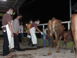 ANTISIPASI WABAH PENYAKIT MULUT DAN KUKU , KAPOLRESTA SIDOARJO CEK RUMAH PEMOTONGAN HEWAN DI KEC.KRIAN