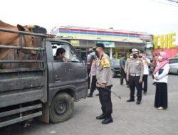 Dampak PMK Sapi, Batasi Lalu Lintas Ternak ke Luar Kota Sidoarjo hingga Awasi Peternak dan RPH