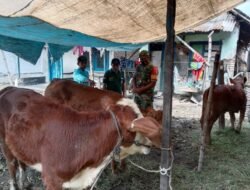 Babinsa Ngabar Dampingi Distan Suntik Ternak