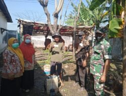 Upaya Pemulihan, Babinsa Mojoanyar Bareng Petugas PPL BPP Distan Pantau PMK