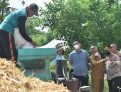 Kakorbinmas Studi Banding Tanam Jagung untuk Petani Papua