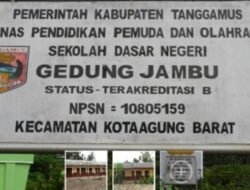 Diduga Lakukan Pungli, Kepala Sekolah SDN 1 Gedung Jambu Kabupaten Tanggamus Terkesan Kebal Hukum