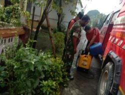 Cegah PMK Meluas, Babinsa Mojolebak Bersama BPD & UPT Distan Jetis Lakukan Ini