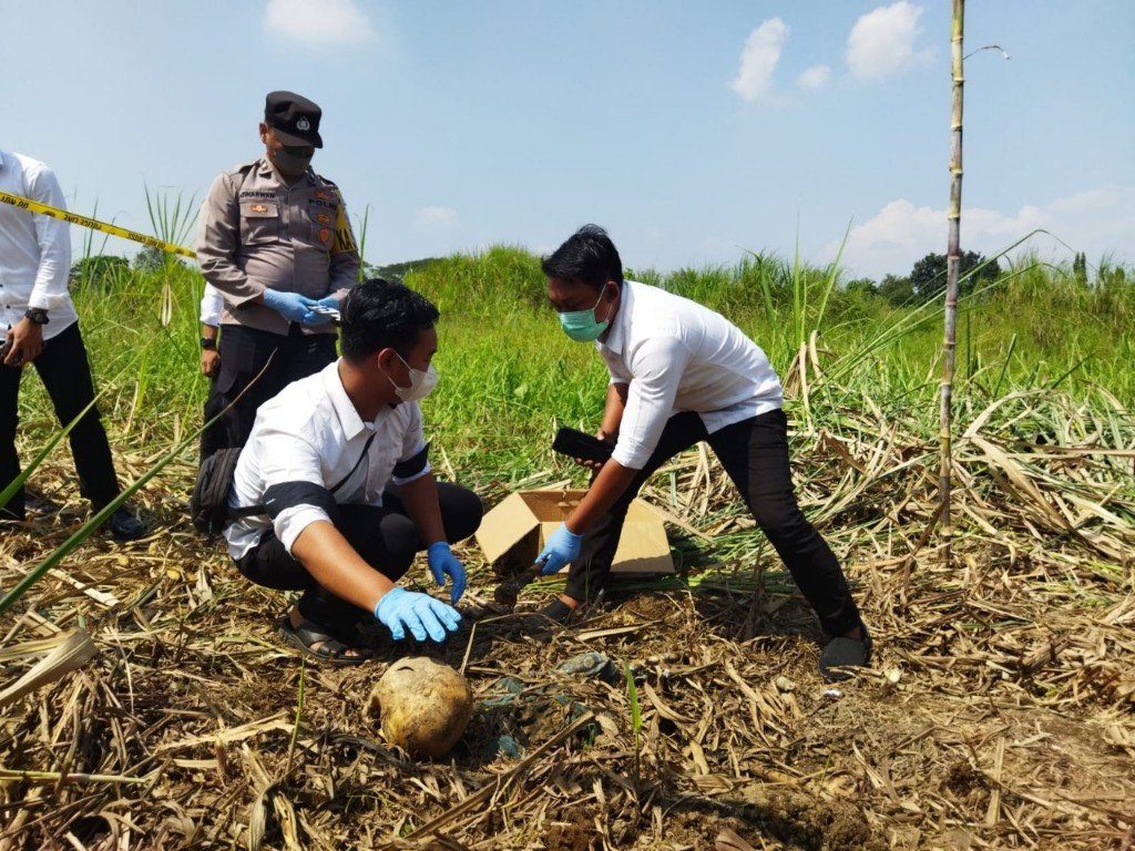 Mayat Perempuan Ditemukan di Kebun Tebu Desa Mlirip Mojokerto