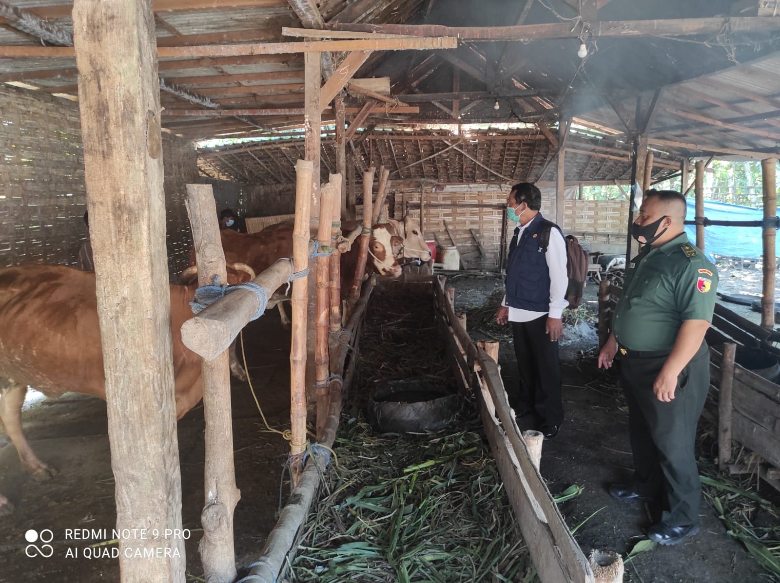 Jelang Hari Raya Idul Adha, Koramil Kemlagi Bersama UPT Distan Gencar Semprot Kandang Sapi