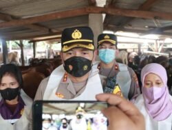 Kapolresta Sidoarjo Cek Suntikan Vaksin dan Vitamin pada Sapi