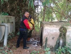Perhutani Bersama DLH Kabupaten Mojokerto Identifikasi Sumber Mata Air Di Kawasan Hutan