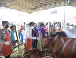 Pastikan Kesehatan Hewan Kurban, Pemkab Sidoarjo Menyediakan Lapak Resmi Penjualan Hewan Kurban Bagi Pedagang