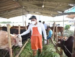 Pastikan Kesehatan Hewan Kurban, Pemkab Sidoarjo Menyediakan Lapak Resmi Penjualan Hewan Kurban Bagi Pedagang
