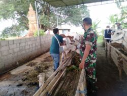 Vaksinasi PMK Wilayah Pos Ramil Mojoanyar Sasar Tiga Desa
