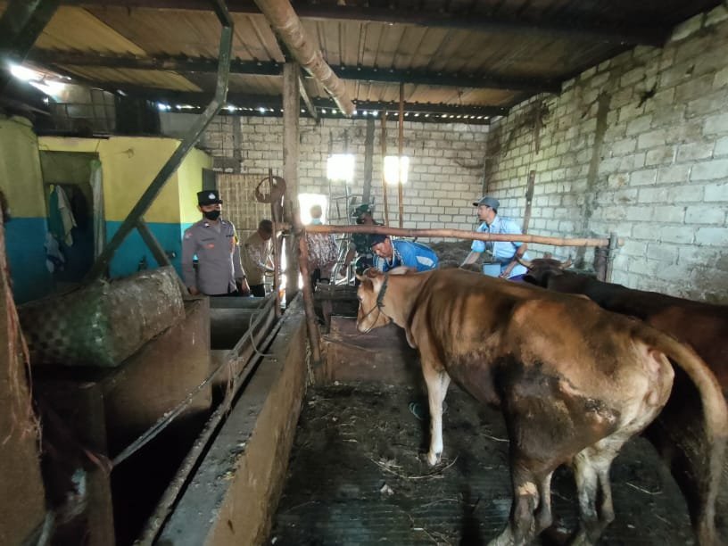 Babinsa Bandung Koramil Gedeg Bersinergi Tuntaskan Vaksin Hewan Ternak