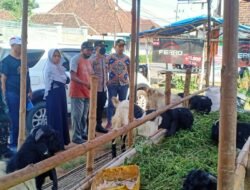 Jelang Idul Adha 1443 H, Danramil Jatirejo Bareng Forkopimcam Cek Kesiapan RPH
