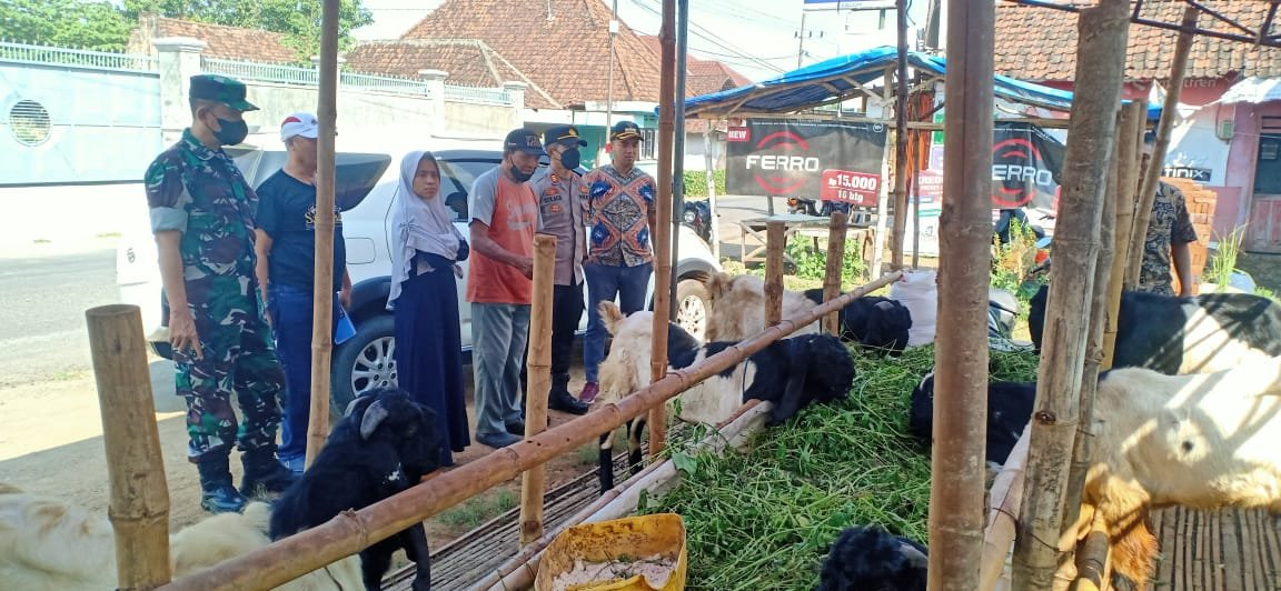 Jelang Idul Adha 1443 H, Danramil Jatirejo Bareng Forkopimcam Cek Kesiapan RPH