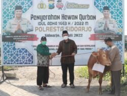 Polresta Sidoarjo Kumpulkan 18 Sapi 68 Kambing untuk Disalurkan ke Masyarakat