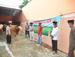 Polda Lampung Bagikan 1.154 Paket Daging Qurban