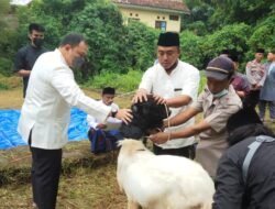 Polres Tanggamus Gelar Sholat Idul Adha di Masjid Hidayatullah dan Potong Hewan Qurban