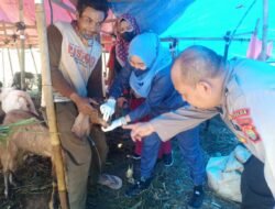 Satgas Banops Aman Nusa II Polda Lampung Dampingi Tim Kesehatan dalam Rangka Vaksinasi PMK Hewan Ternak