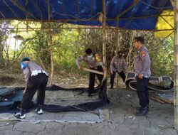 Polisi Bongkar Tempat Diduga Jadi Sabung Ayam di Balongbendo