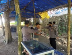 Polisi Bongkar Tempat Diduga Jadi Sabung Ayam di Balongbendo