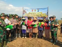 Kodim 0815/Mojokerto Tanam Jagung Serentak