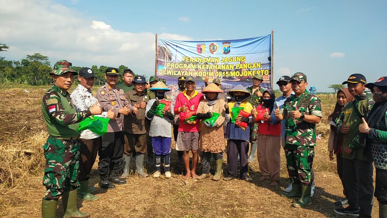Kodim 0815/Mojokerto Tanam Jagung Serentak