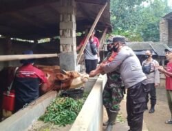 Polres Lampung Cegah Penyebaran PMK di Kp. Suka Jawa