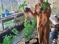 Membuat Bonsai Batok Kelapa Adalah Salah Satu Bentuk Rutinitas Kepala Desa BanjarWungu Tarik Sidoarjo