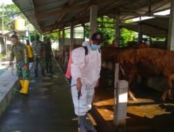 Kolaborasi Koramil Jetis – BPBD, Pastikan UPPO & Ternak Warga Terbebas Wabah PMK