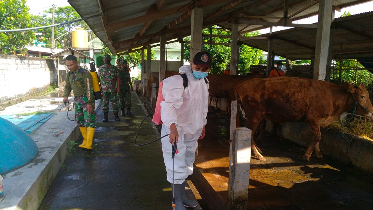 Kolaborasi Koramil Jetis - BPBD, Pastikan UPPO & Ternak Warga Terbebas Wabah PMK