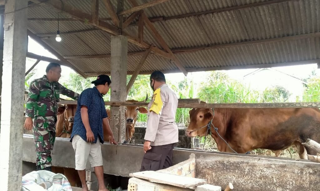 Polres Lampung Tengah Lakukan Pendampinan Dalam Pencegahan PMK di Kp. Tanjung Anom