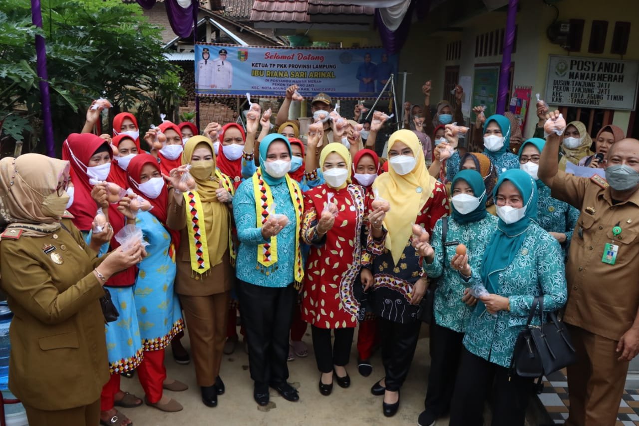 Ketua TP PKK Provinsi Lampung Lantik Pengurus PMI Tanggamus